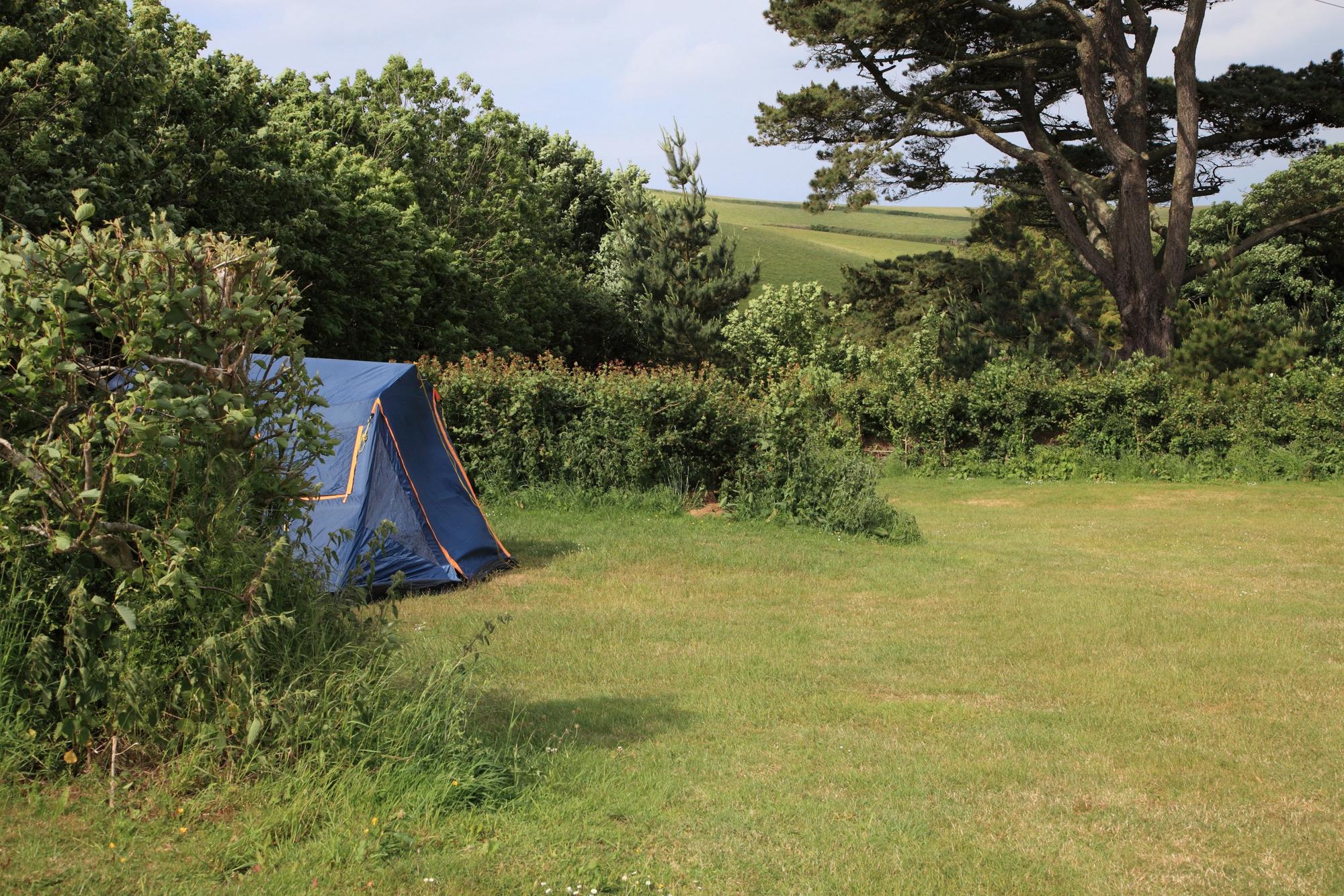 Torquay Camping Best campsites in Torquay, Devon